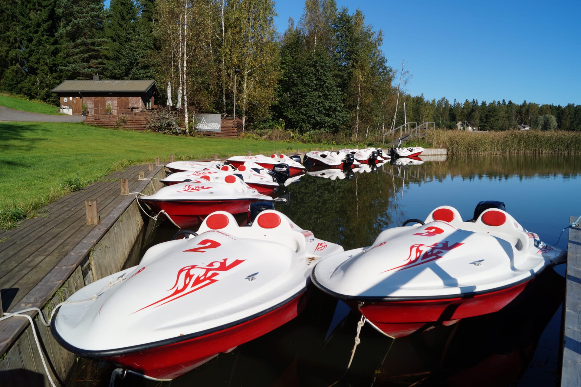 Batmax boar safari in Porvoo