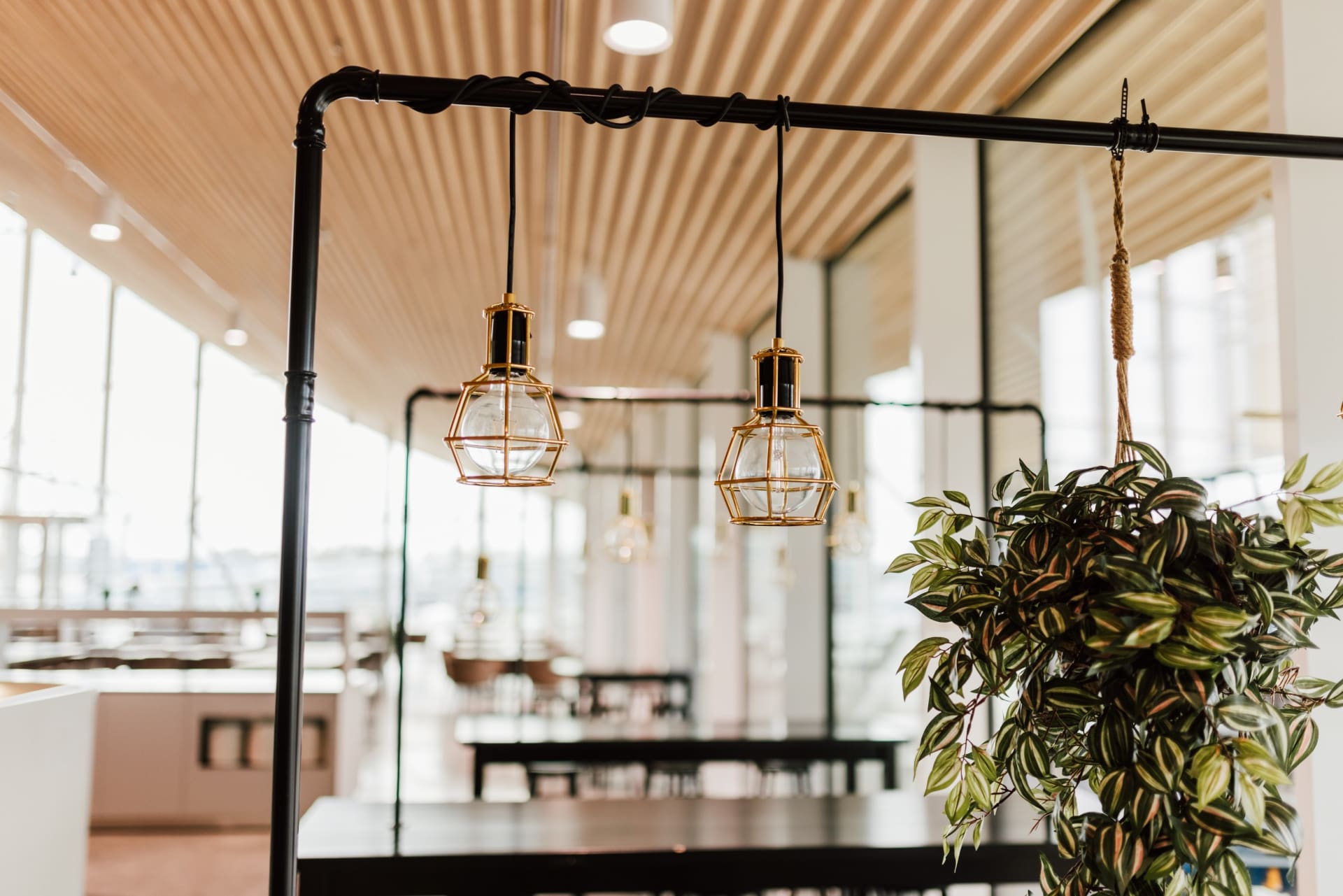 04b04f20-6ce8-11ee-9fca-6fdb01d69922