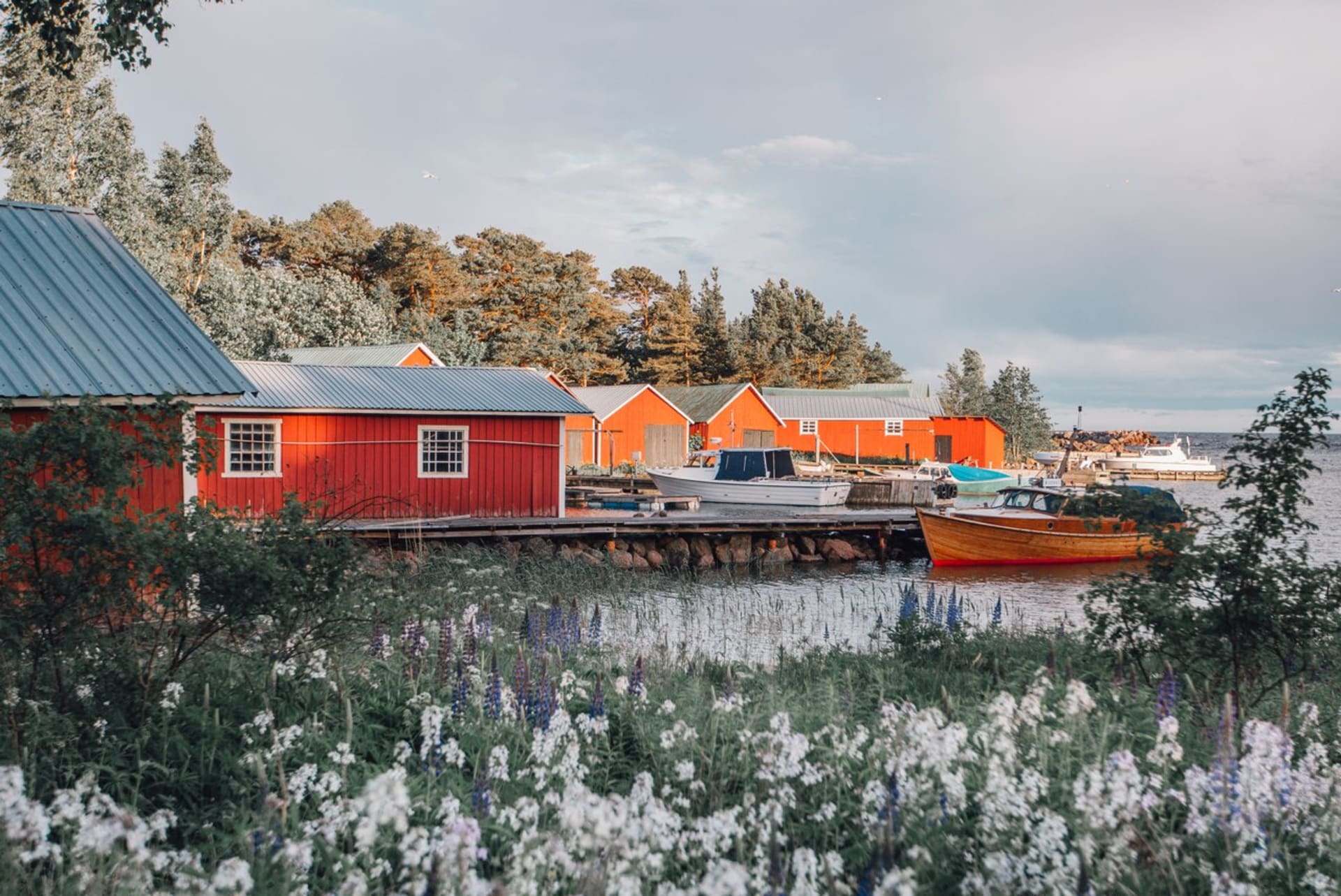 0df3f0b0-a3a7-11ed-bea9-0fed8354dabd