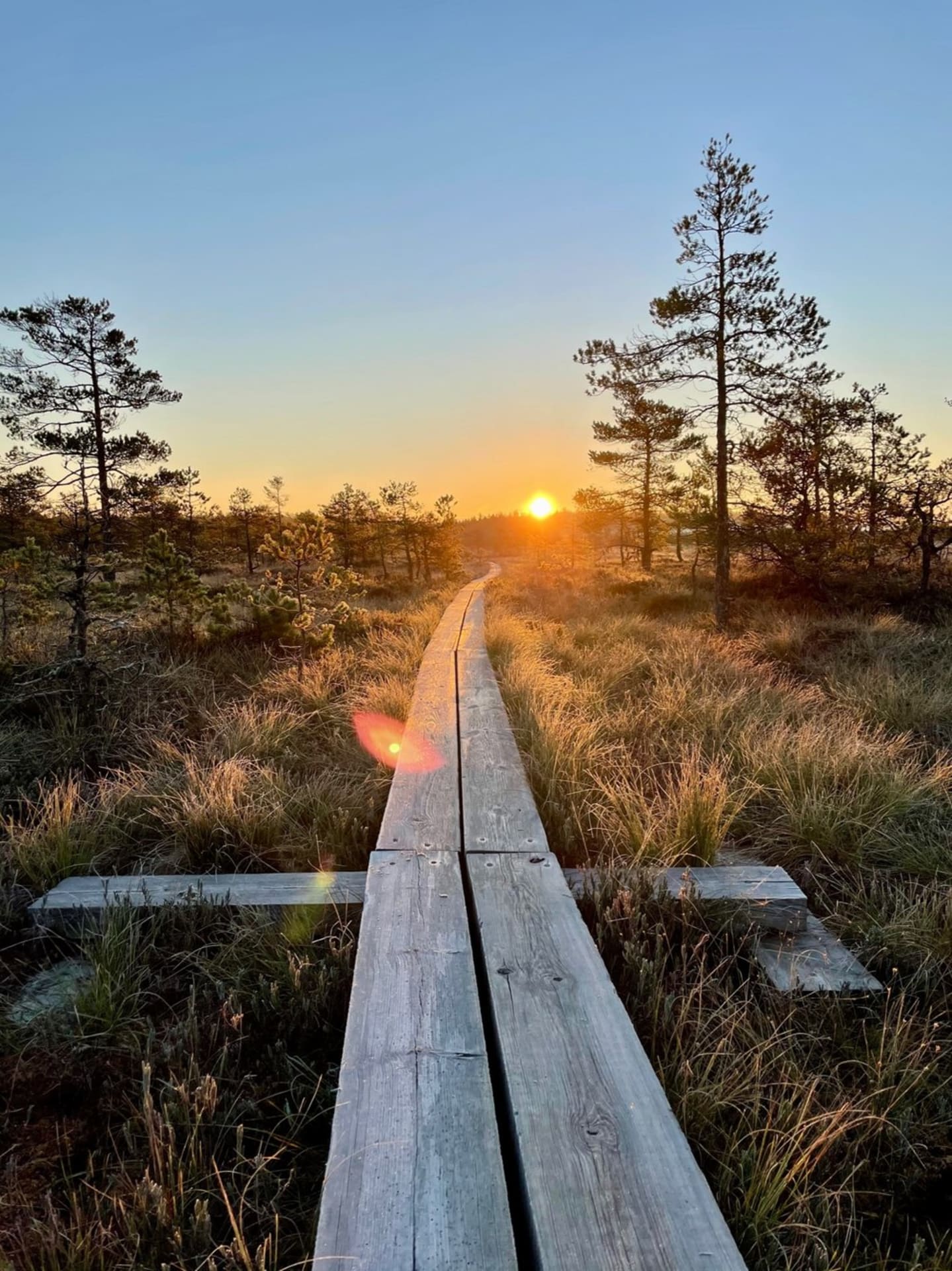 24063180-f49a-11ed-b821-95e694c35326