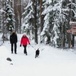 Kaksi retkeilijää lumisella polulla. Ympärillä on lumista metsää. Kuva: Laura Uusi-Simola