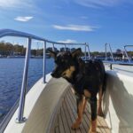 Charter boat Zorii Bliss