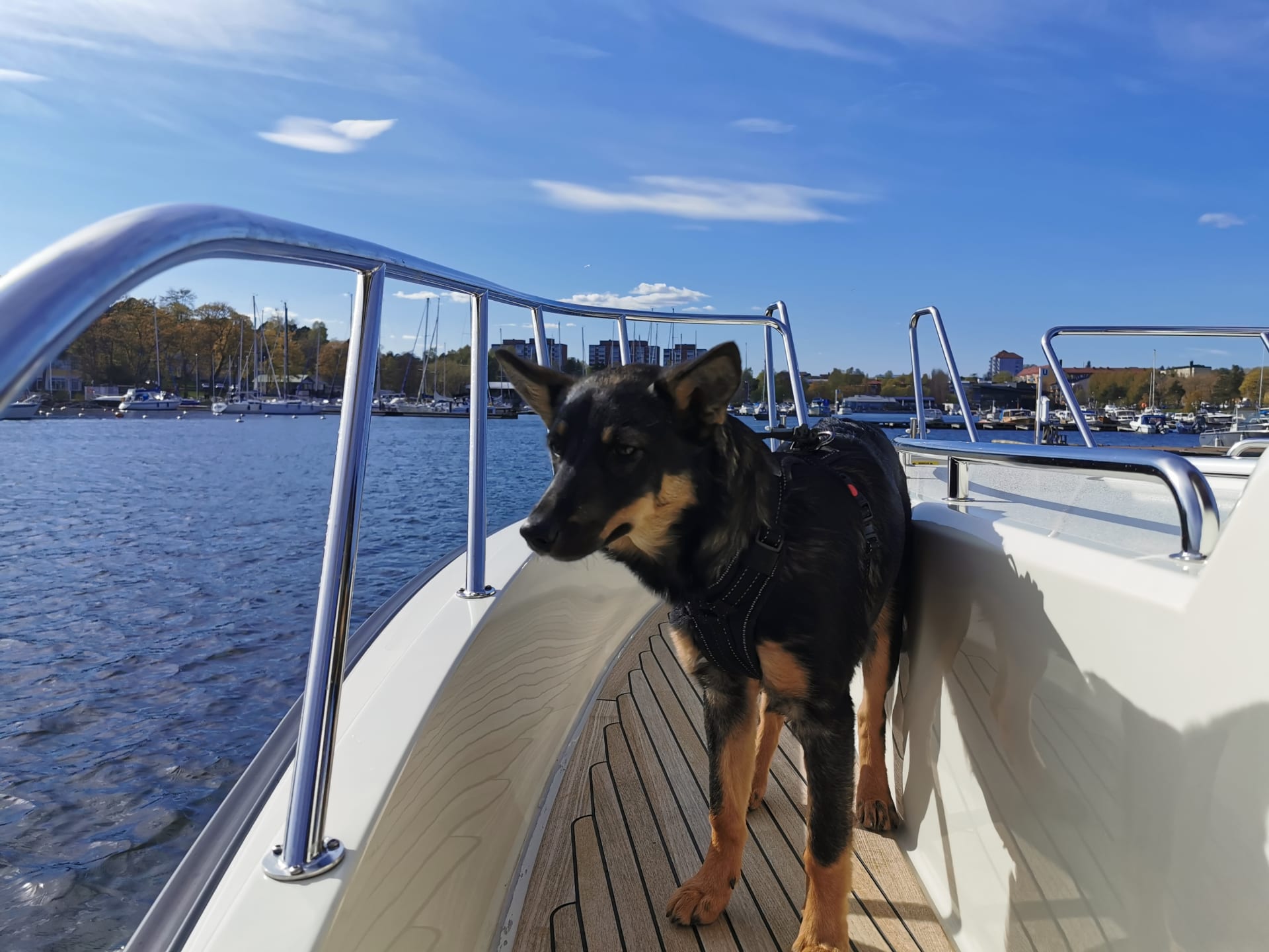 Charter boat Zorii Bliss