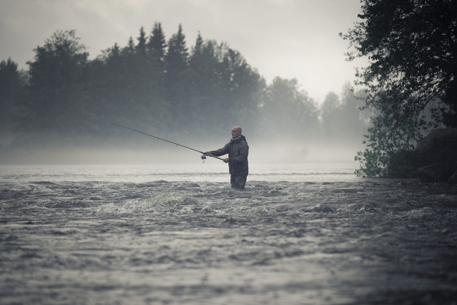 6bba2430-f49c-11ed-b821-95e694c35326