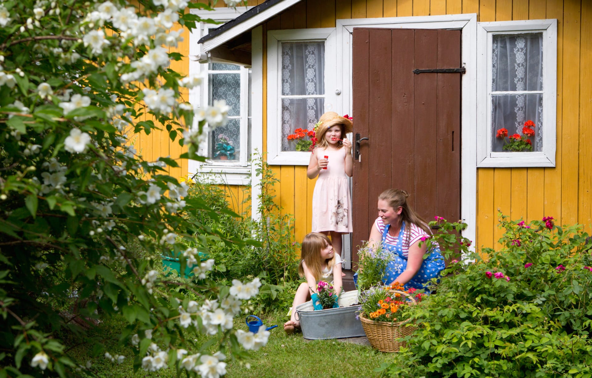 7069d420-f49d-11ed-b821-95e694c35326