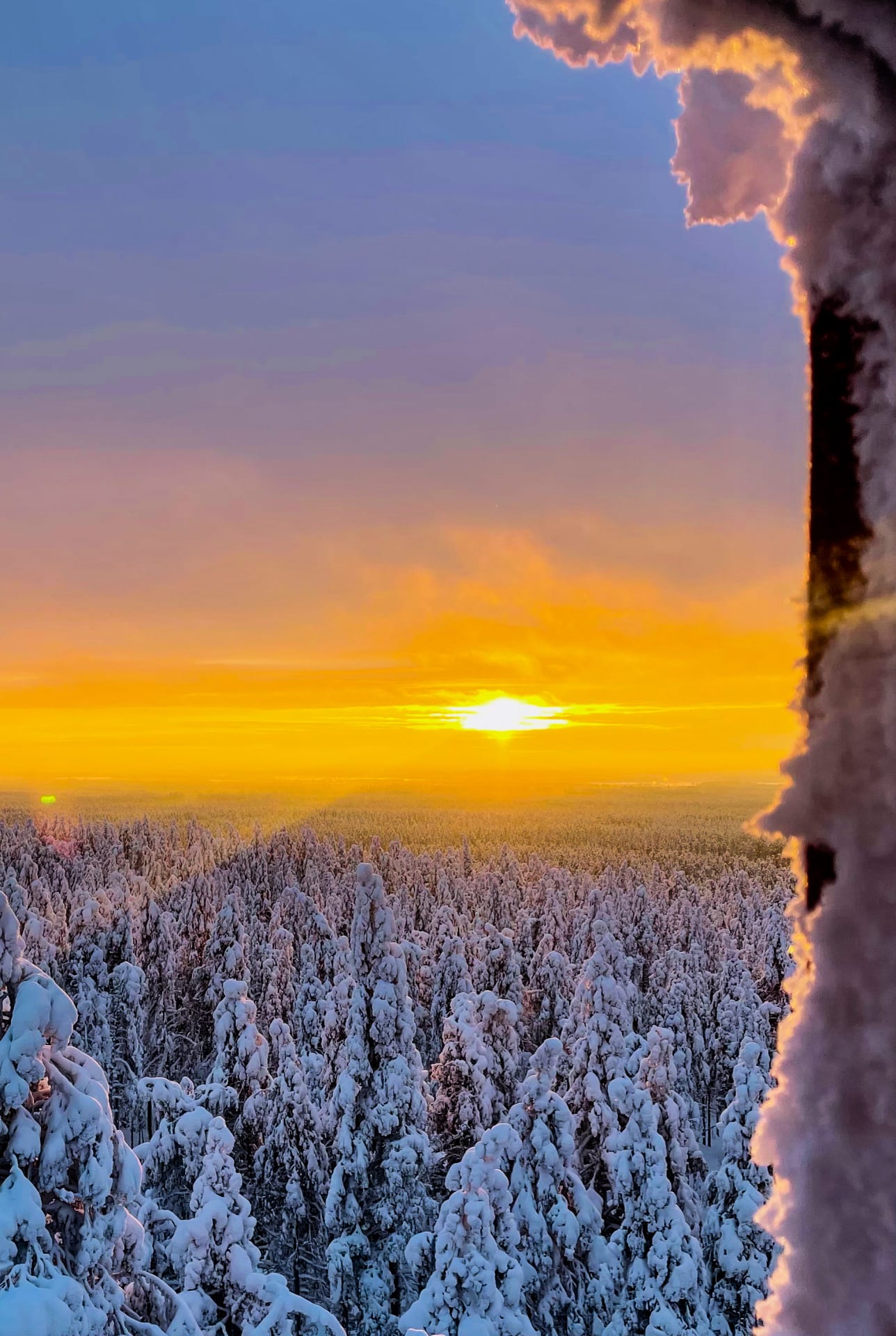 Auringonlasku pakkaspäivänä