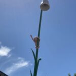 Little Paradise by Tommi Toija