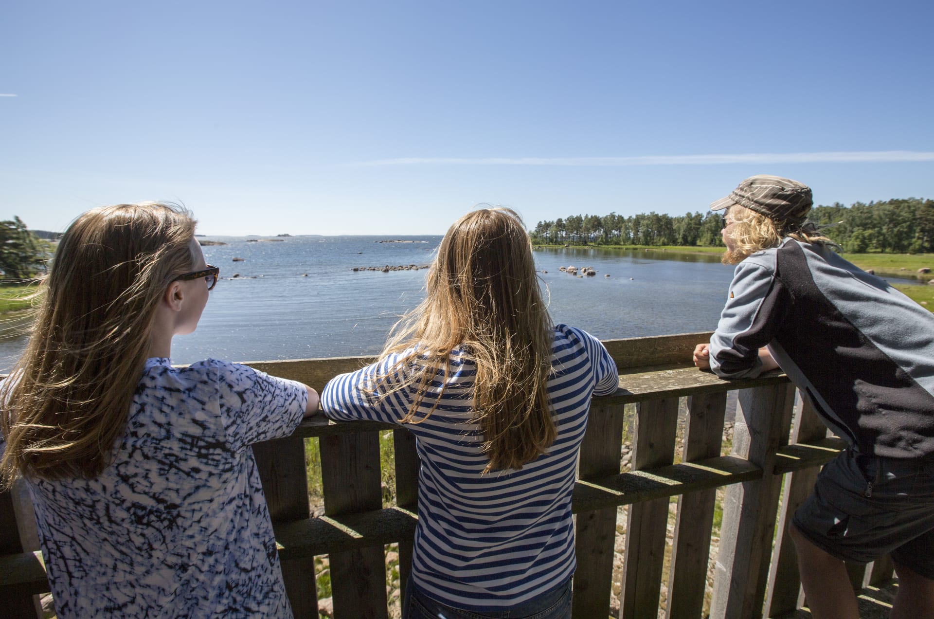 Rakinkotkan lintutorni