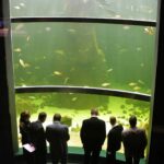 During the guided tour you hear the latest fish news.