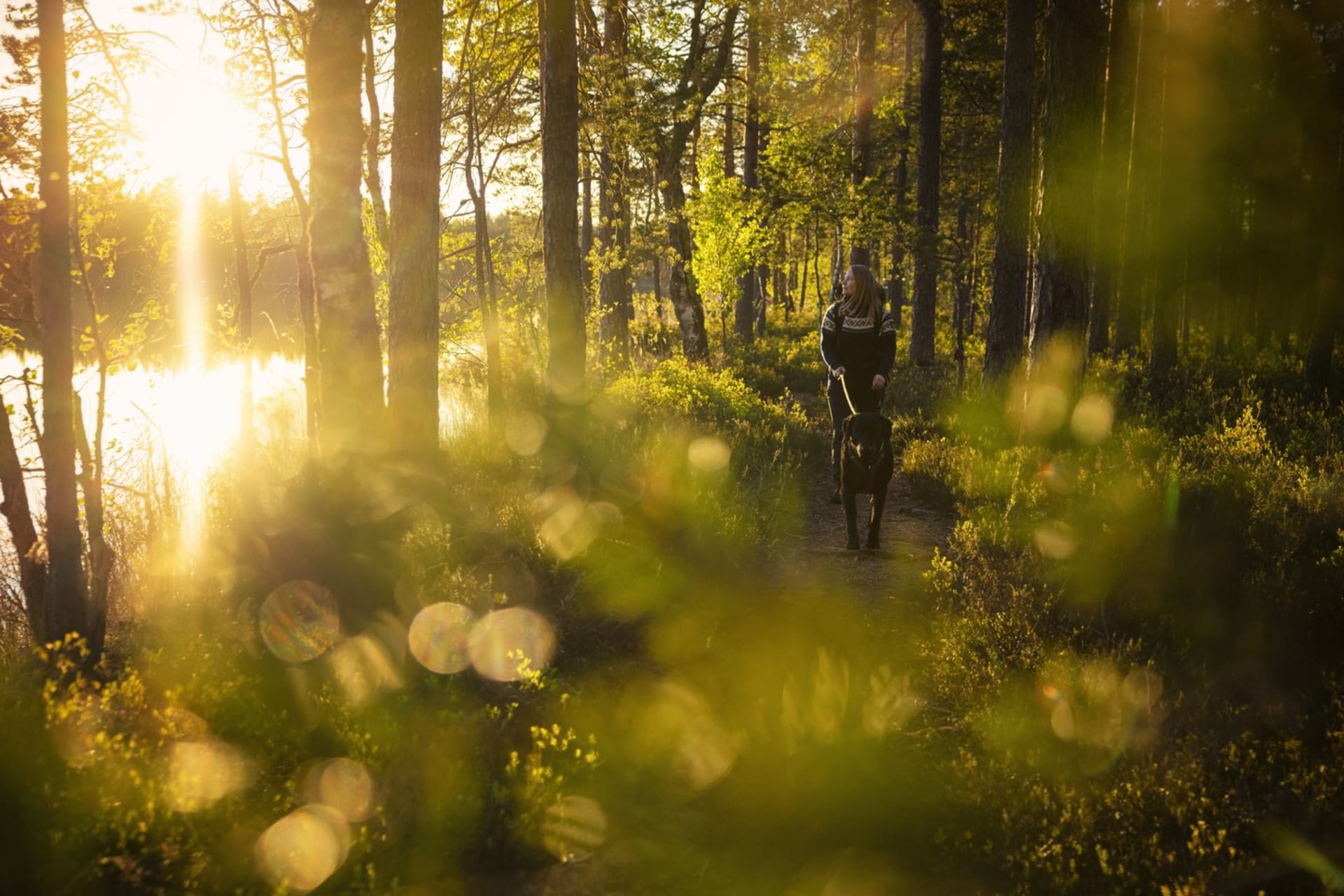 Skukulträskets vandringsled