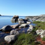 Laxvarpet Stor-Pellinge