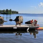 A private pier wit a swimming ladder