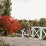 Sapokka Water Garden in autumn colours.