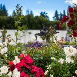 Sisäpihan Rakkauspuiston tunnelmaa