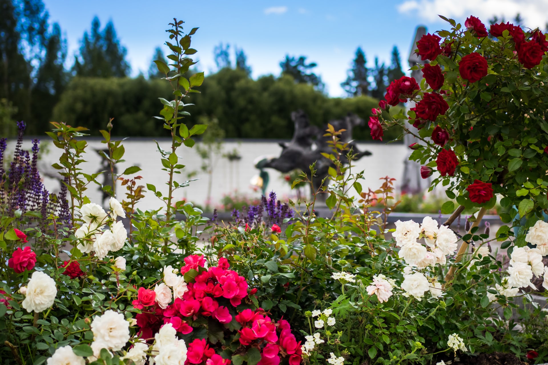 Sisäpihan Rakkauspuiston tunnelmaa