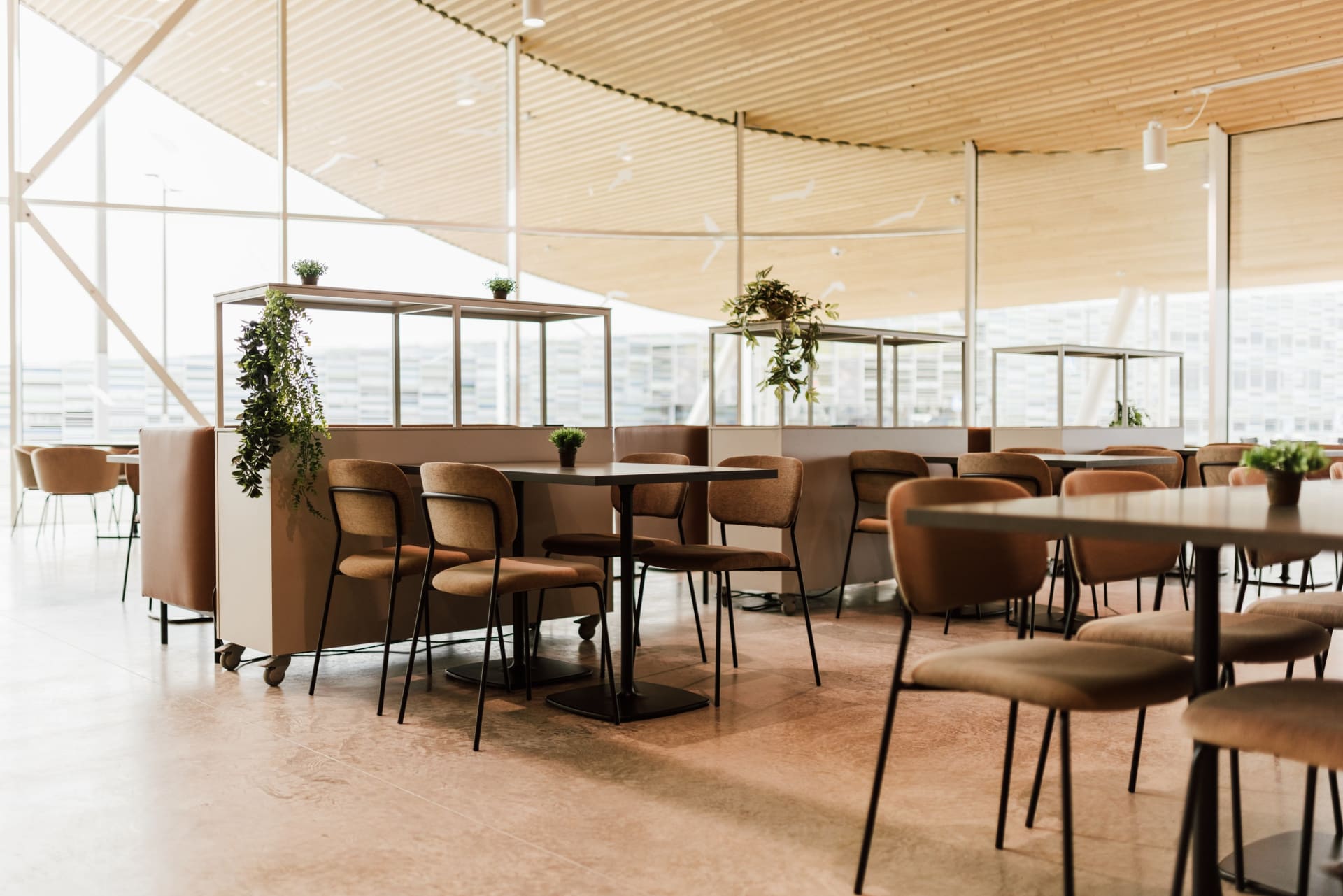 d79cd990-6ce7-11ee-9fca-6fdb01d69922