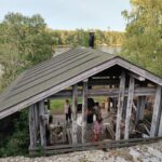 Ulko-Tammio. Sataman keittokatos.