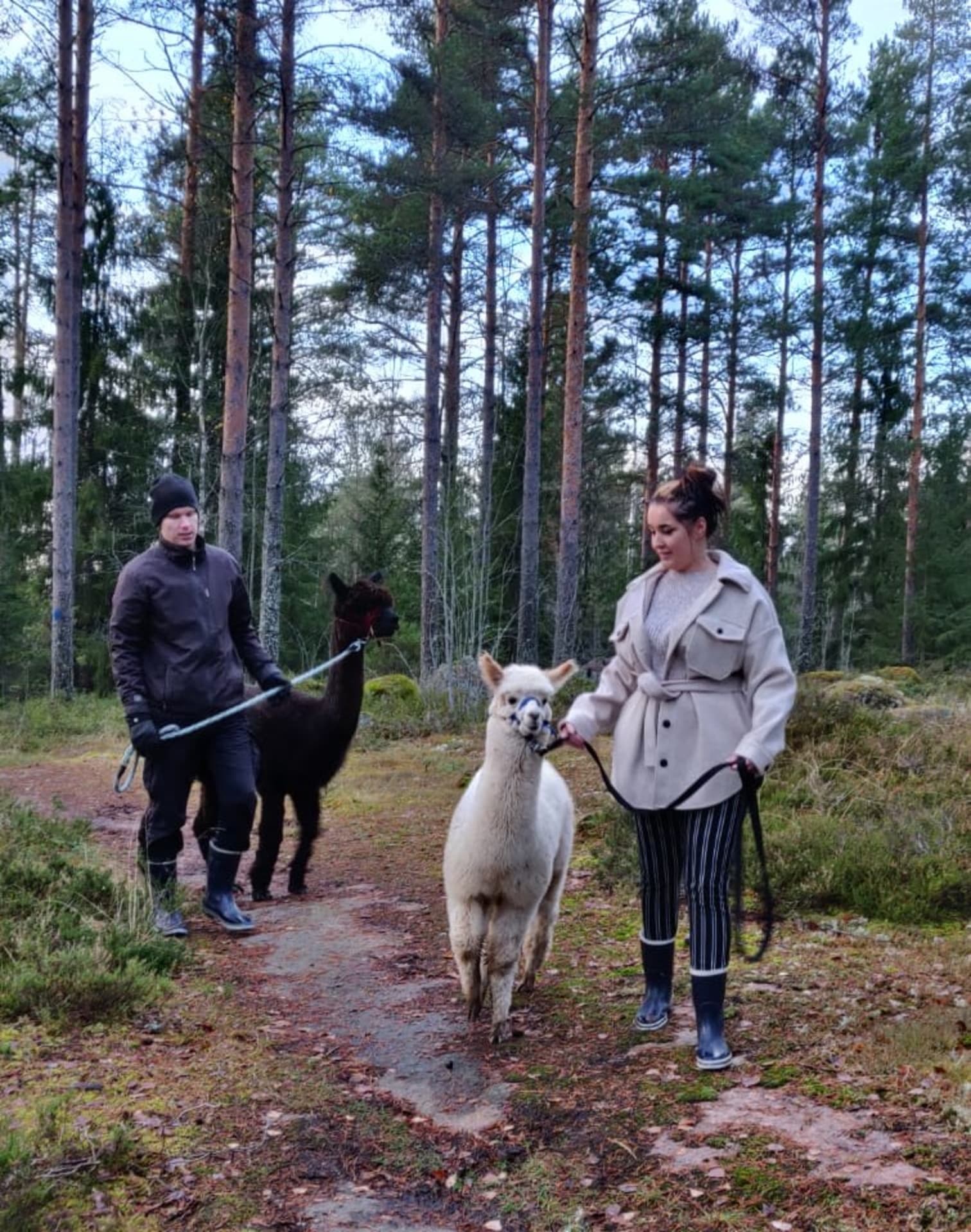 84d298b0-2dec-11ee-9fb4-c344224e6fd0