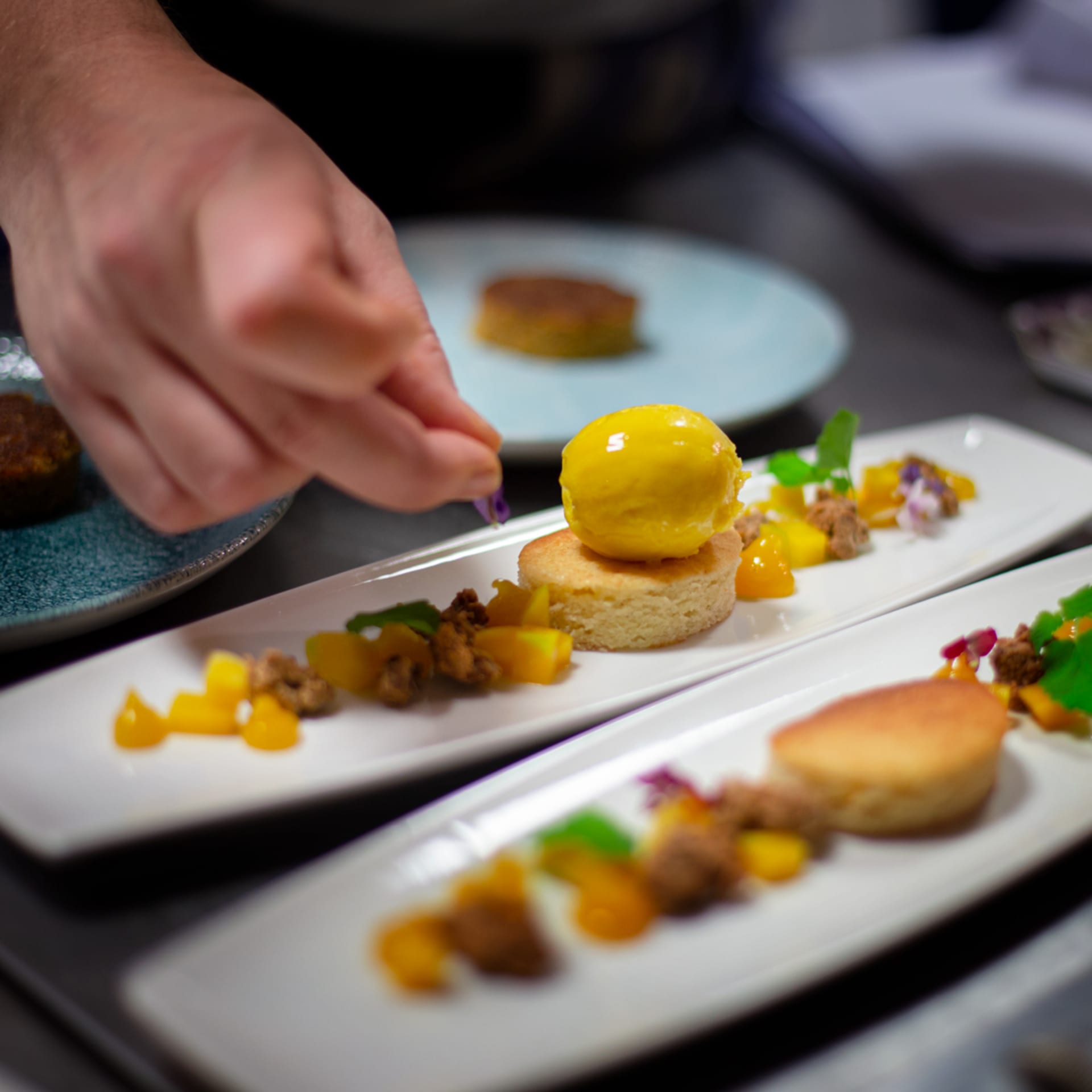 5a81a080-d169-11ee-ab44-79c504d53bde