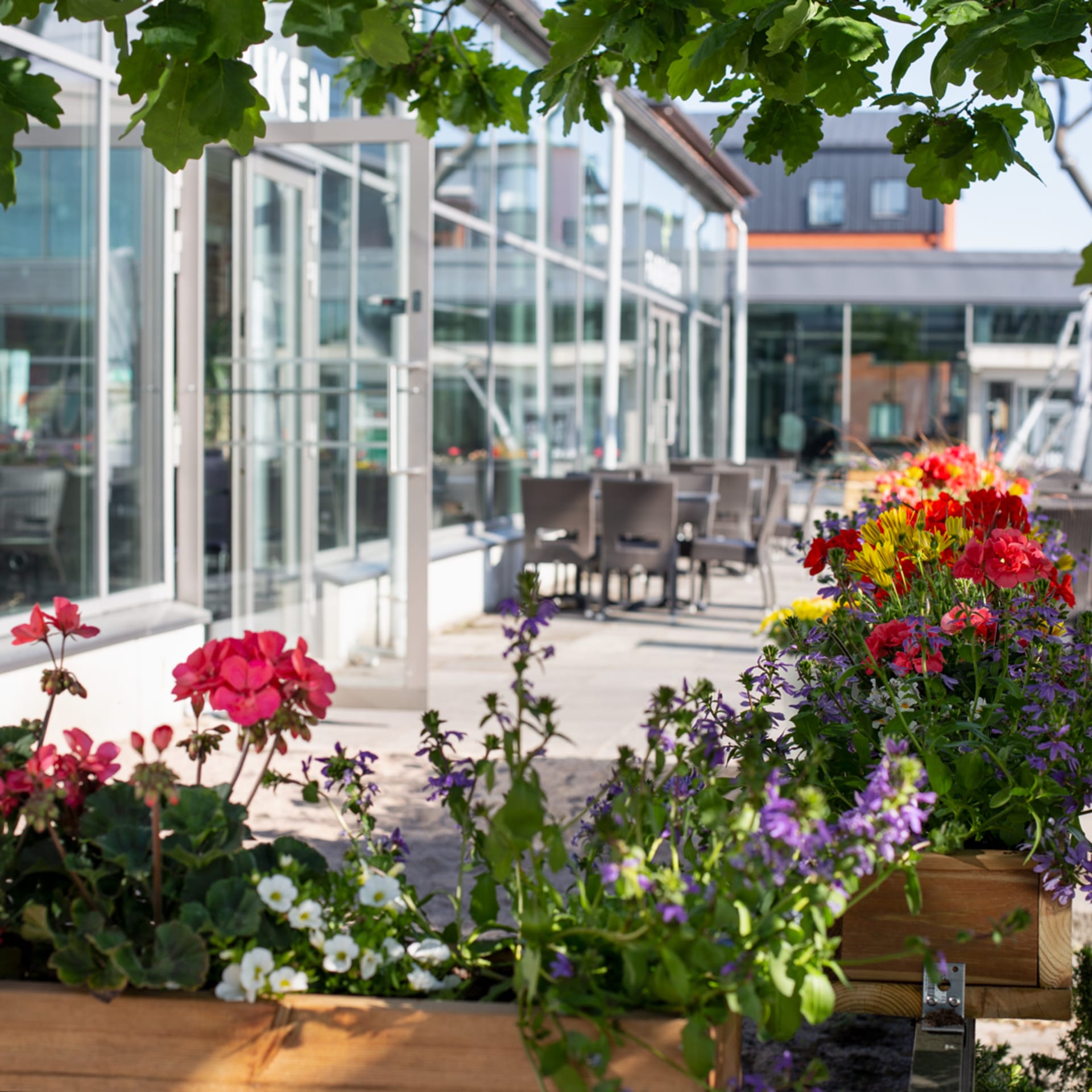 In summertime you can have lunch at our terrace.