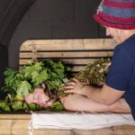 We offer healing sauna treatments for individuals, couples or small groups.  We offer sauna treatments with leaves and whisks in our treatment sauna Lovi.  The treatments are available during all of our sauna sessions.