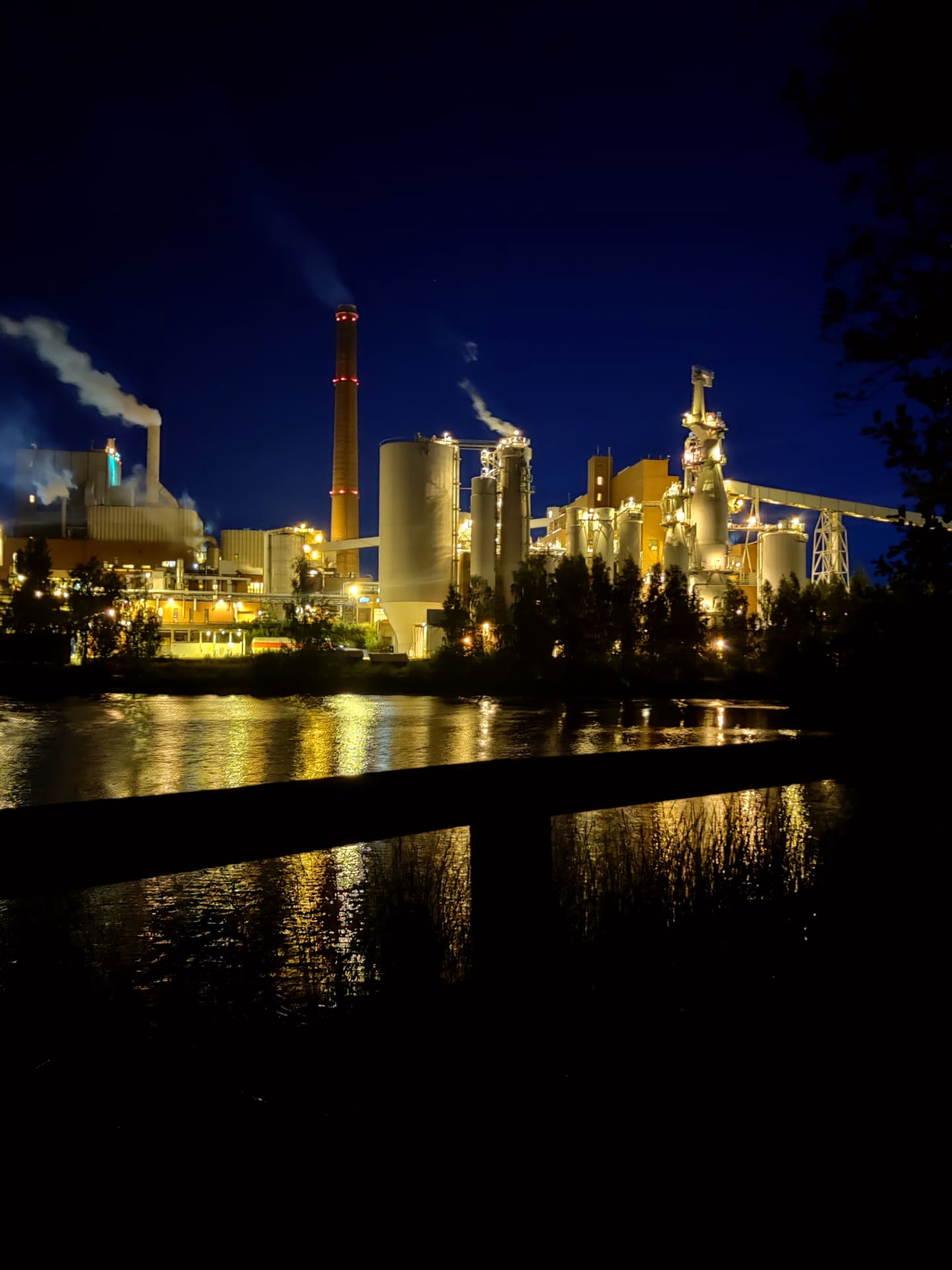 f2502a80-2e0c-11ef-abd1-b5bdfa936444