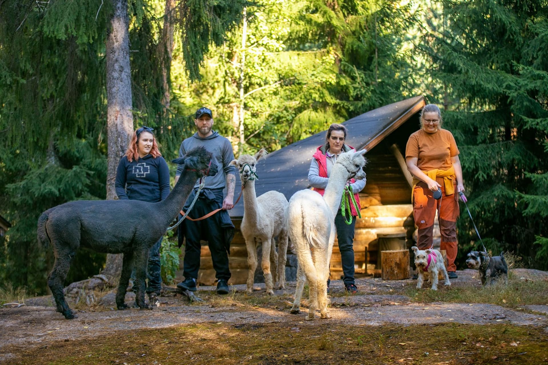 f5dcbcc0-2dec-11ee-9fb4-c344224e6fd0