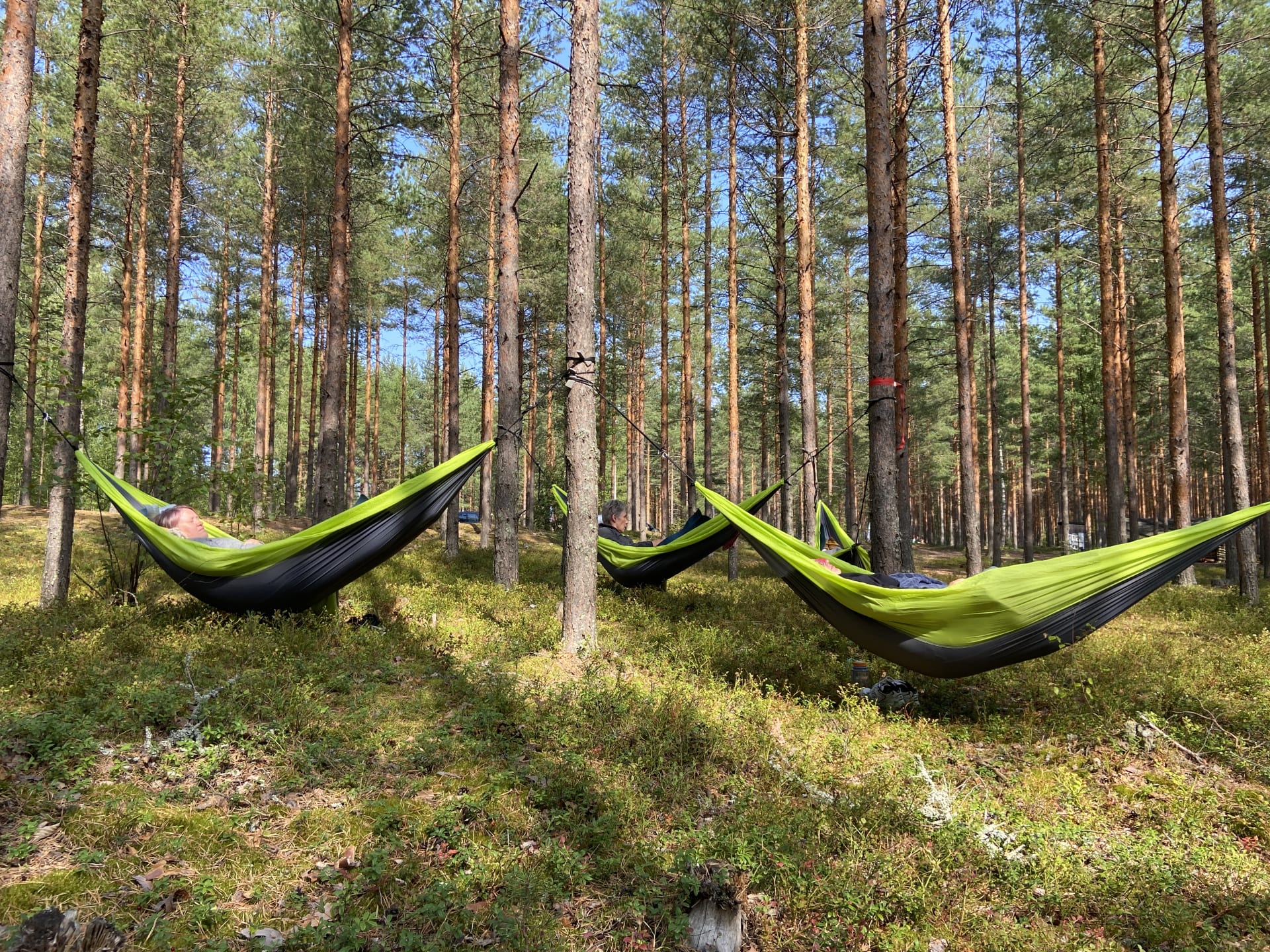 Riippumattorentoutus