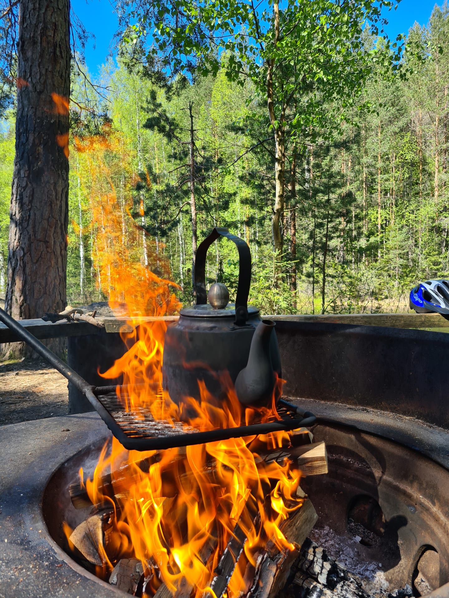 e-fatbike safari Repovesi