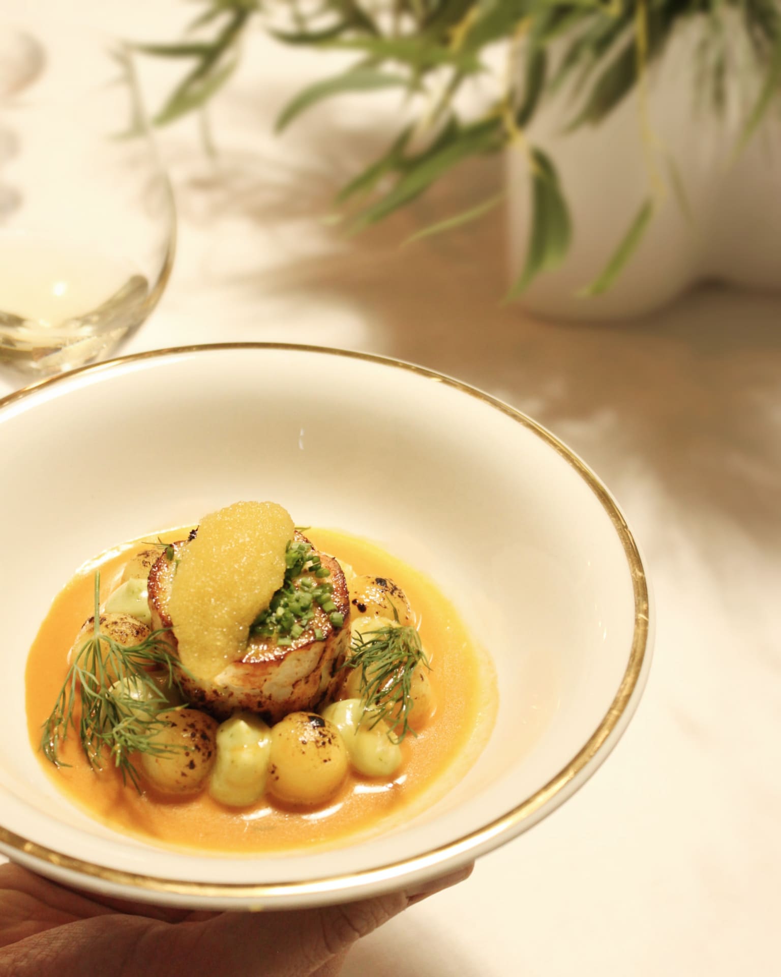 A dish of pike and crab broth is served on a golden-edged plate.