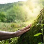 Reconnect with nature