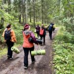 Entering the forest together