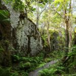 Ulko-Tammio saaren luontopolku Haminassa