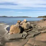 Merimaisema Ulko-Tammiossa