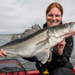 Kuha on hauen ohella tärkein kalastuskohteemme